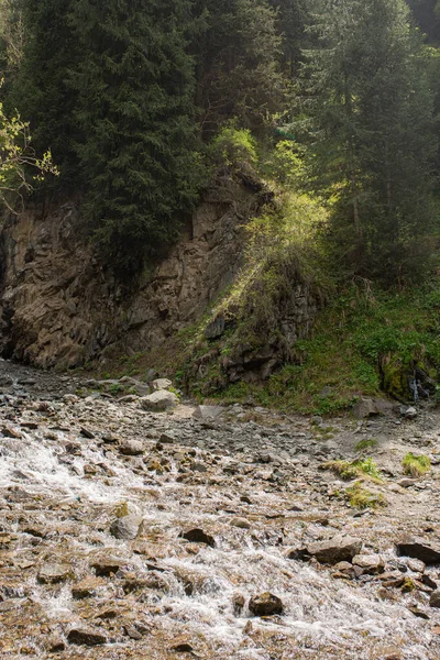 Mountain River Flows Quickly Stones — Stockfoto
