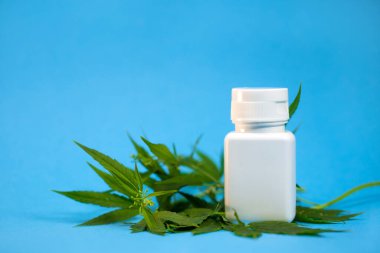 Mavi arka planda bir dal esrar bulunan beyaz bir ilaç kavanozu..