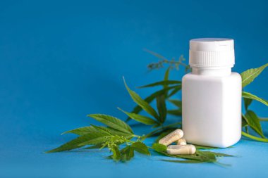 Mavi arka planda bir dal esrar bulunan beyaz bir ilaç kavanozu..