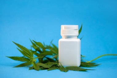 Mavi arka planda bir dal esrar bulunan beyaz bir ilaç kavanozu..