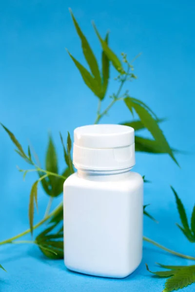 White Jar Medicines Branch Cannabis Blue Background — 스톡 사진