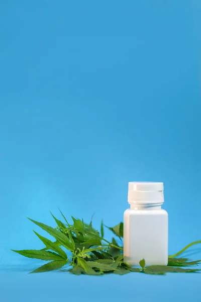 White Jar Medicines Branch Cannabis Blue Background — 스톡 사진