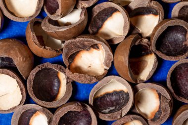 Mavi arka planda, macadamia fındık kabuklarının yakın plan görüntüleri..