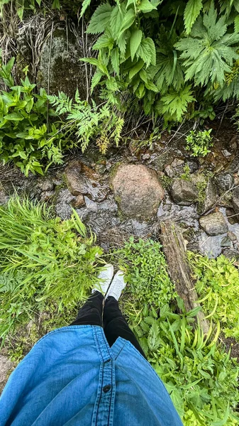 Guy Takes Photo Green Plants Mountain Stream — Stockfoto