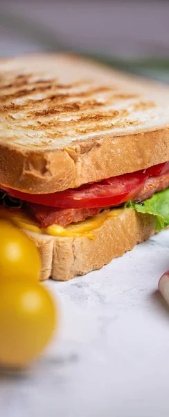 Juicy Crispy Sandwich Ham Vegetables Close — Stockfoto