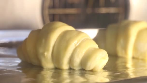 Process Baking Croissants Oven — Αρχείο Βίντεο