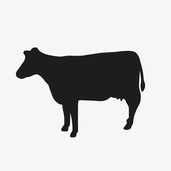 Vector icon of cow isolated on white background. — Image vectorielle