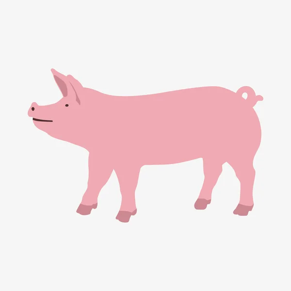 Vector illustratie van een varken op witte achtergrond — Stockvector