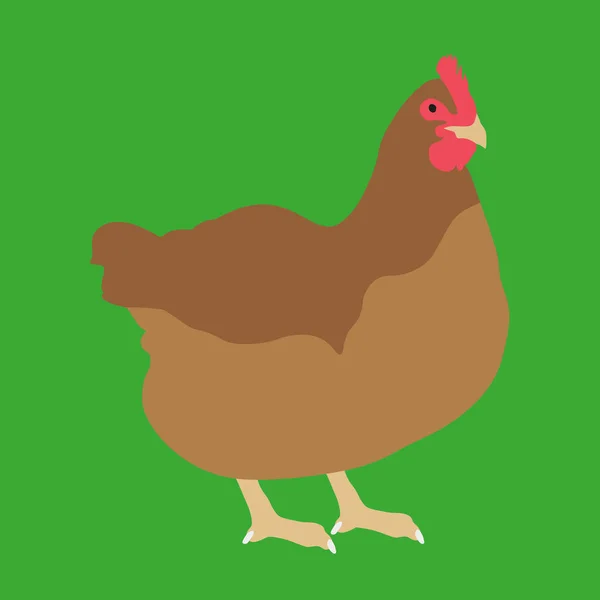 Chicken vector icon isolated on green background — Wektor stockowy