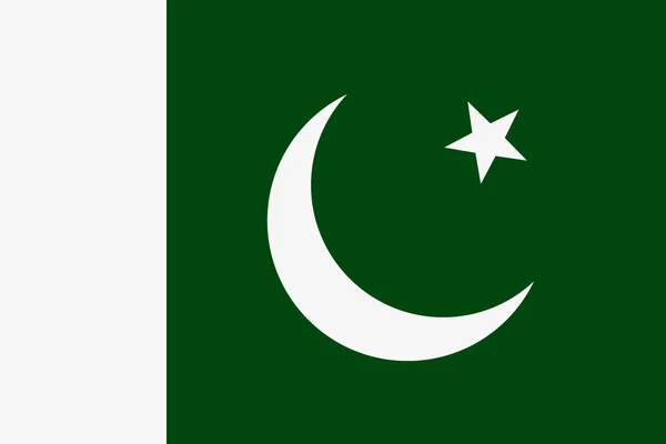 Bandera paquistaní icono de vector. La Bandera de Pakistan — Vector de stock