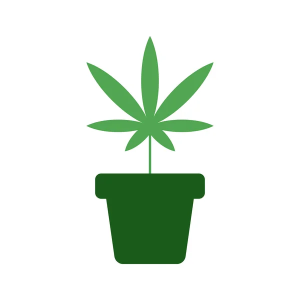 Icono del vector de cultivo de cannabis. Cultiva hierba en maceta — Vector de stock