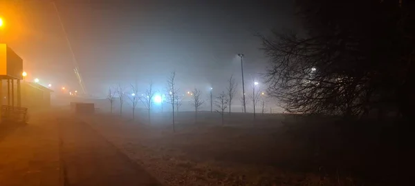 Nebbia Fitta Nel Parco — Foto Stock