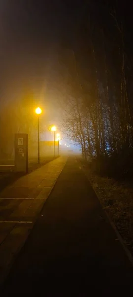 Dikke Mist Het Park — Stockfoto