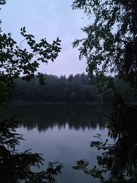 Météo Pluvieuse Lac Arbres — Photo