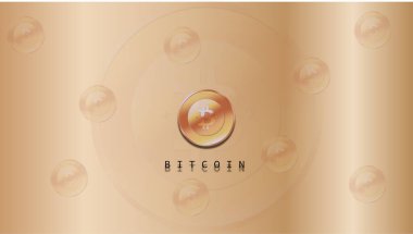 Modern Bitcoin geçmişi. Bitcoin şifreli para birimi. BITCOIN