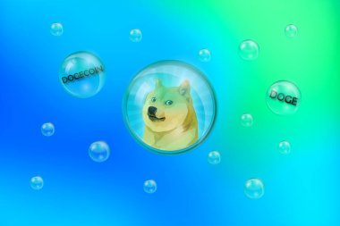 Dogecoin Doge bayrağı. DOGE para kripto para konsept pankart arka planı. Kabarcık içinde doge