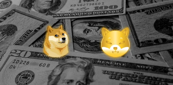 Shiba inu VS Dogecoin. Shiba inu kripto para birimi. Dogecoin şifreli para birimi. Meme paraları. 