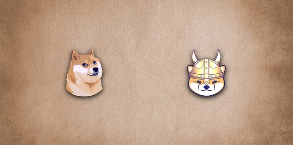 Floki Inu Dogecoin Floki Inu Kryptowährung Dogecoin Kryptowährung Meme Münzen — Stockfoto