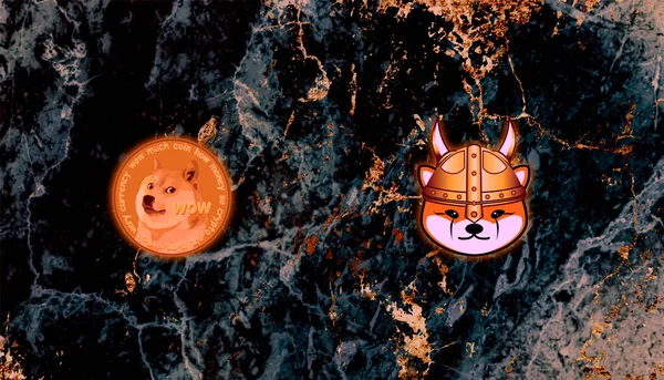 Floki Inu Dogecoin Floki Inu Kryptowährung Dogecoin Kryptowährung Meme Münzen — Stockfoto