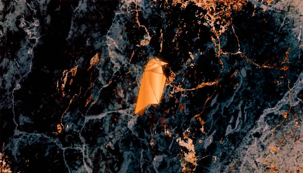 Raven symbol with crypto currency themed background design.Raven icon.