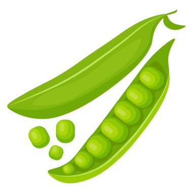 Green peas, open and closed pod. Bright and juicy image of peas on a white background. 