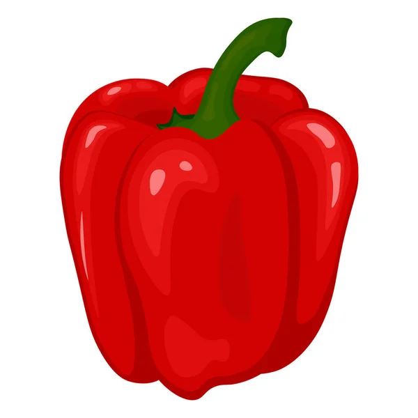 Pimienta Búlgara Vegetales Jugosos Para Diseño Imagen Pimiento Rojo Aislado — Vector de stock