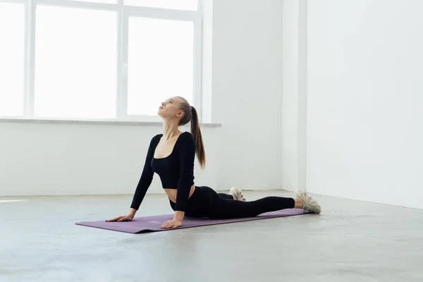 Young attractive woman practicing yoga, stretching in Cobra exercise, Bhujangasana pose, working out wearing sportswear, indoor full length, isolated against grey studio background