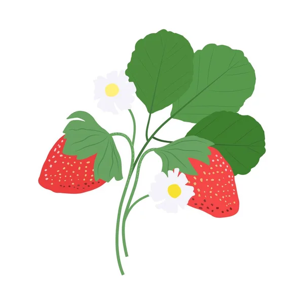 ベクトルの葉を持つイチゴのベリー 絶縁図 — ストックベクタ