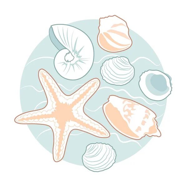 Морские Ракушки Морская Звезда Синем Круглом Фоне Векторная Иллюстрация — стоковый вектор