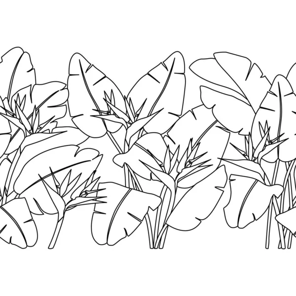 Bordure Avec Ligne Noire Strelitzia Fleurs Feuilles Sur Fond Blanc — Image vectorielle