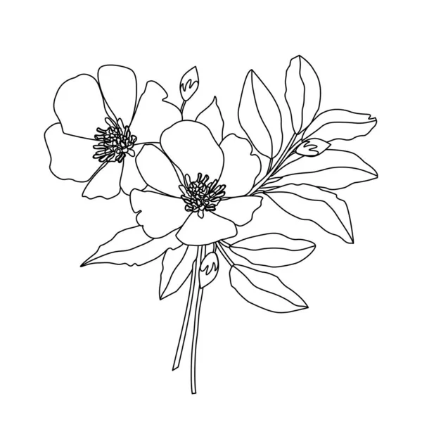 Dibujo Línea Vectorial Flores Magnolia Ramo Ilustración Aislamiento Sobre Fondo — Vector de stock