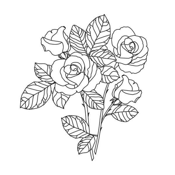 Linha Vetor Desenho Flores Rosas Buquê Isolamento Ilustração Fundo Branco —  Vetores de Stock