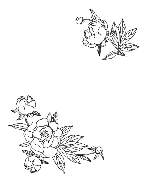 Cornice Floreale Con Fiori Peonie Linea Illustrazione Arte Isolata Sfondo — Vettoriale Stock