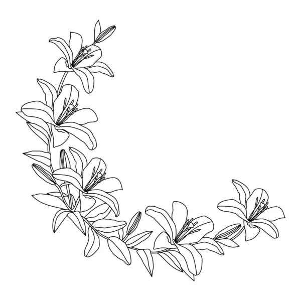 Floraler Rahmen Mit Lilienblüten Linienkunst Illustration Isoliert Auf Weißem Hintergrund — Stockvektor