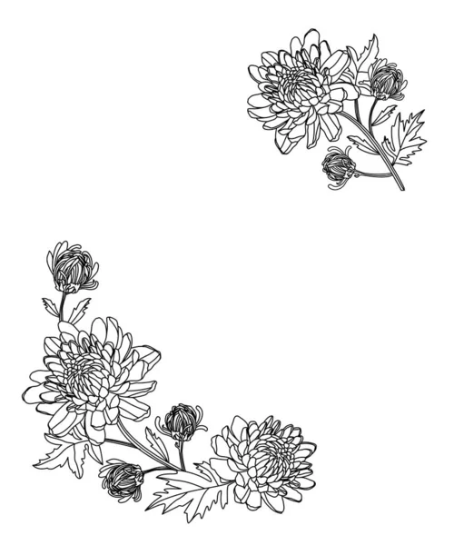 Квіткова Рамка Квітами Хризантеми Лінійна Ілюстрація Мистецтва Ізольована Білому Тлі — стоковий вектор
