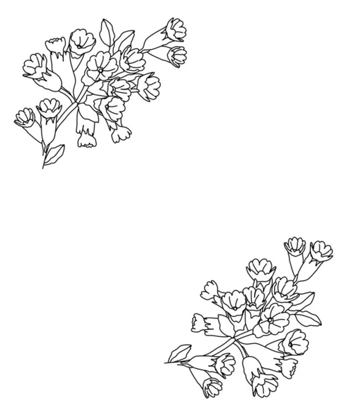 Moldura Floral Com Flores Primula Ilustração Arte Linha Isolada Sobre — Vetor de Stock