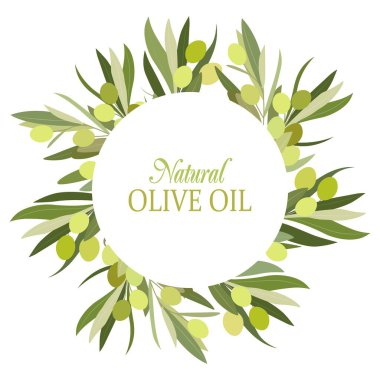 Beyaz arkaplanda zeytin vektörü çerçevesi ve metin için yer