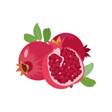 Beyaz arka planda yapraklı narlar. Vektör illüstrasyonu