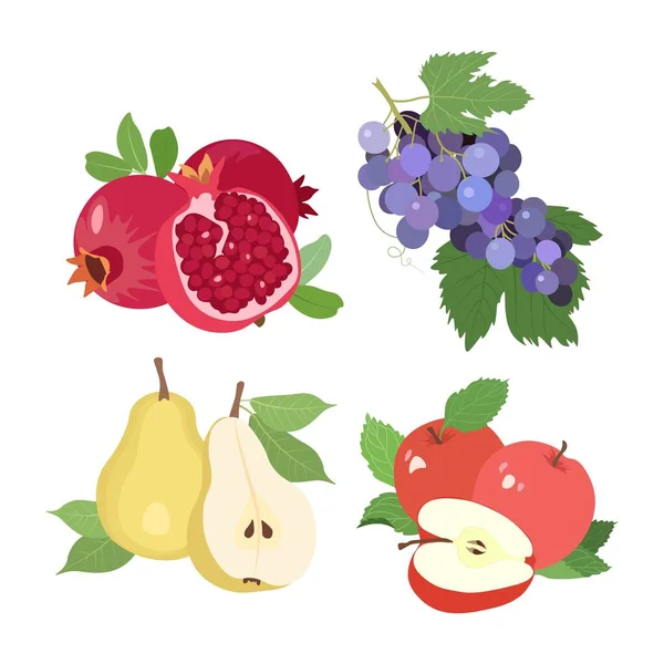 果物のセット 白を基調としたザクロ ブドウ リンゴ — ストックベクタ