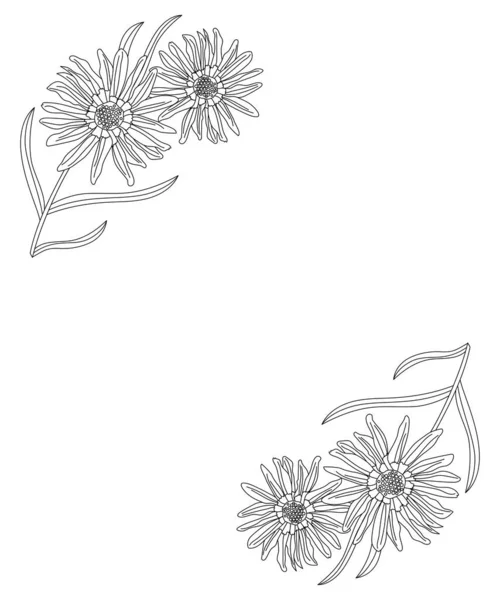 Floral Frame Gazania Flowers Line Art Illustration Isolated White Background — Stok Vektör