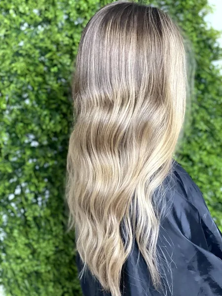 Professional Beautiful Hair Coloring Beautiful Hair — Stock Photo, Image