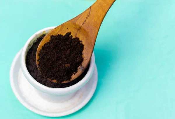 Filizler için toprağı olan ahşap bir spatula.