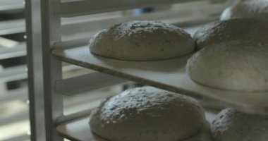 Ekmek hamuru daha sonra pişirmek için fırında tavaların üzerine yükselir..