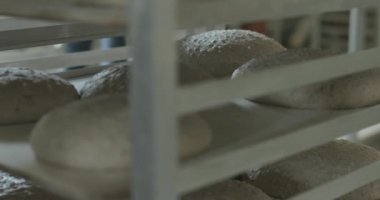 Ekmek hamuru daha sonra pişirmek için fırında tavaların üzerine yükselir..