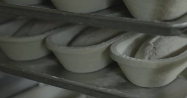Ekmek hamuru daha sonra pişirmek için fırında tavaların üzerine yükselir..