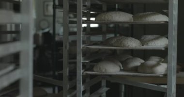 Ekmek hamuru daha sonra pişirmek için fırında tavaların üzerine yükselir..