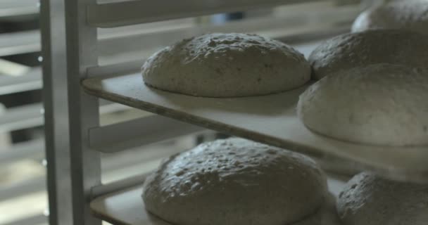 Pieczywo Chlebowe Bochenki Rosną Patelniach Piekarni Rzemieślniczej Pieczenia Później — Wideo stockowe