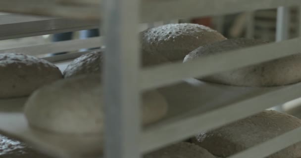 面包面团面包在工艺面包店的平底锅上升起 以便日后烘焙 — 图库视频影像