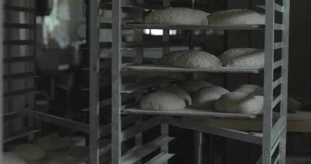 Ψωμί Καρβέλια Ζύμης Αυξηθεί Τηγάνια Ένα Αρτοποιείο Για Ψήσιμο Αργότερα — Αρχείο Βίντεο