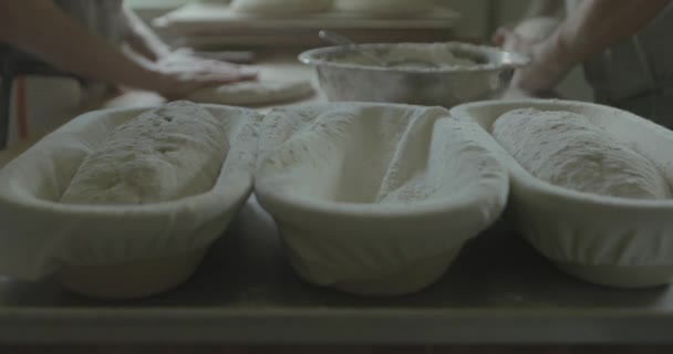 Boulanger Place Une Miche Pâte Pain Dans Une Casserole Pour — Video